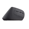 Trust Bayo+ kancelárska myš pre pravákov RF bezdrôtová + Bluetooth optická 2400 DPI