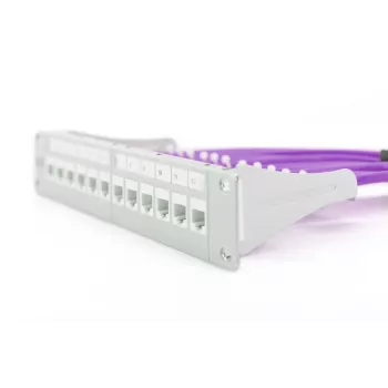 DIGITUS inštalačný kábel - CAT6 - U/UTP - 500 m - fialový Dca
