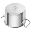 ZWILLING Pro okrúhly hrniec 6,2 l strieborný 24 cm