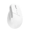 Trust Bayo+ myš kancelárska pravá ruka RF Wireless + Bluetooth optická 2400 DPI