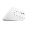 Trust Bayo+ myš kancelárska pravá ruka RF Wireless + Bluetooth optická 2400 DPI