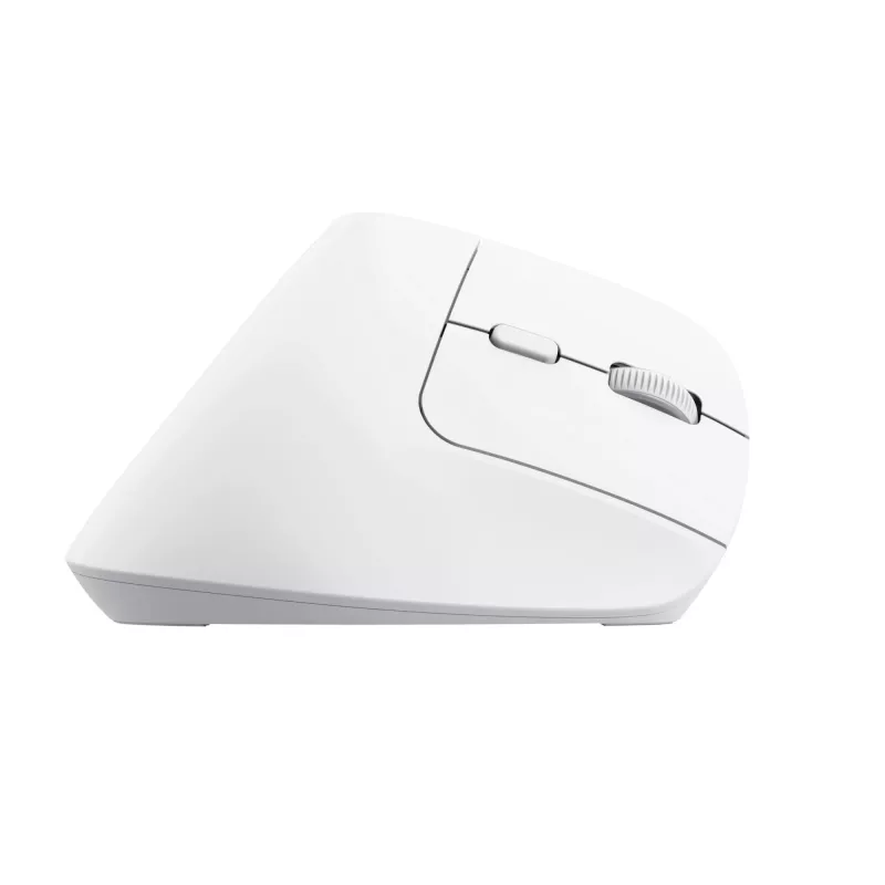 Trust Bayo+ myš kancelárska pravá ruka RF Wireless + Bluetooth optická 2400 DPI
