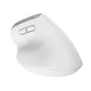 Trust Bayo+ myš kancelárska pravá ruka RF Wireless + Bluetooth optická 2400 DPI