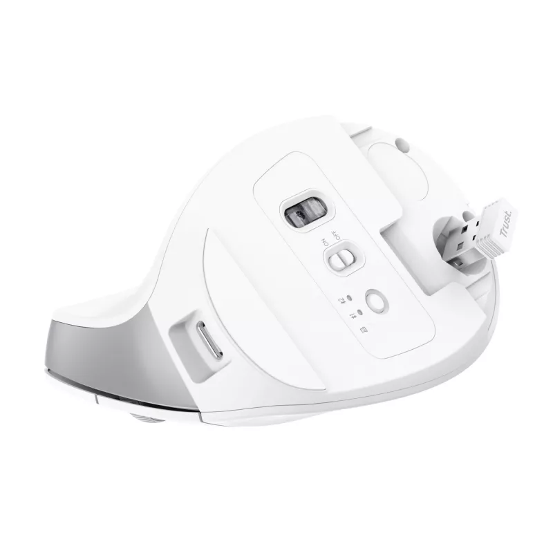 Trust Bayo+ myš kancelárska pravá ruka RF Wireless + Bluetooth optická 2400 DPI