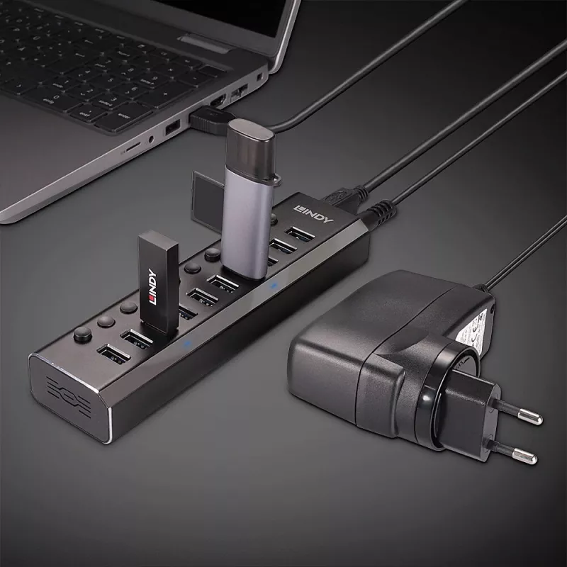 Lindy 10 port USB 3.0 hub s vypínačmi