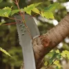 Záhradná mačeta Fiskars 1051236 nerezová oranžová rukoväť