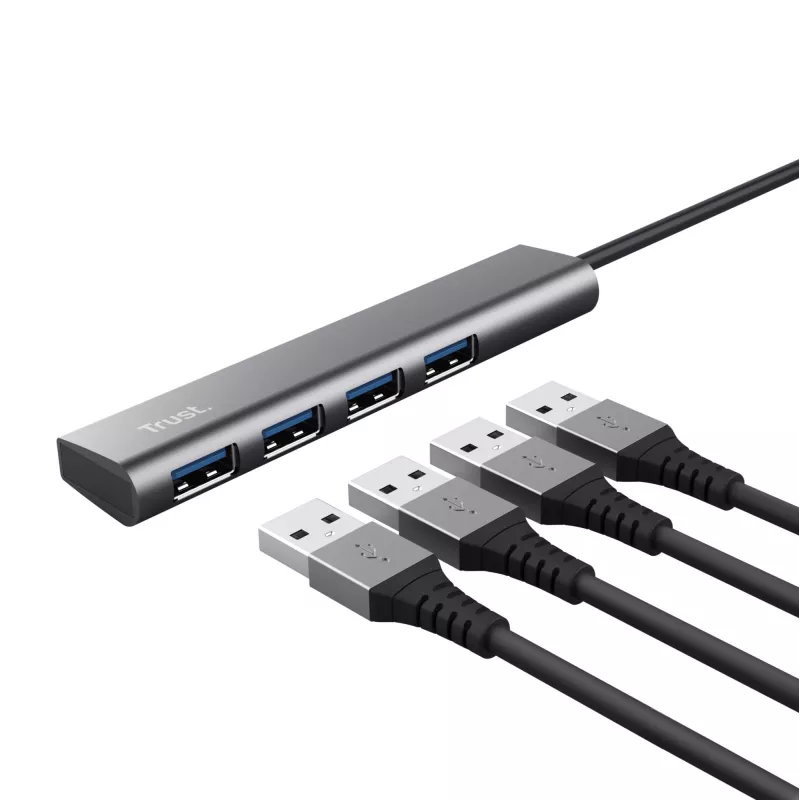 Trust Halyx USB 3.2 Gen 1 (3.1 Gen 1) Type-A 5 Mbit/s sivá