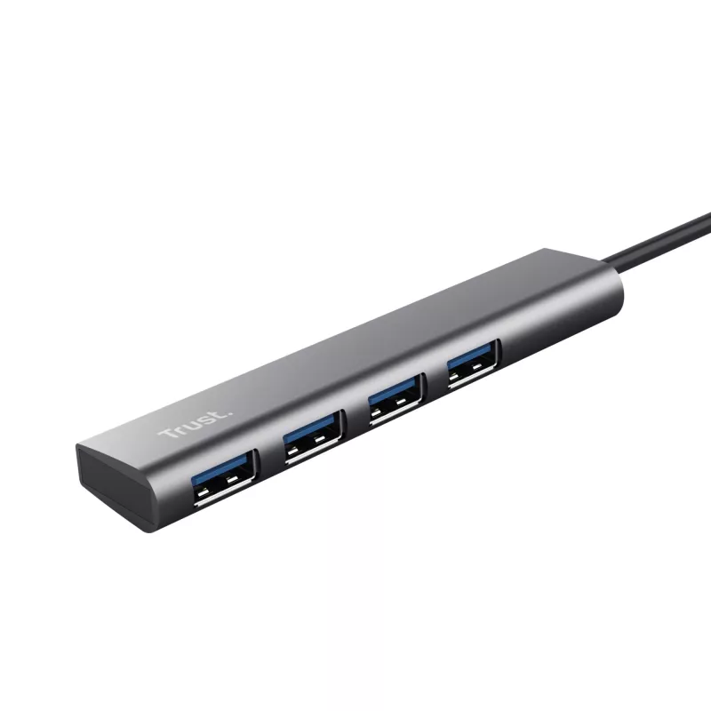 Trust Halyx USB 3.2 Gen 1 (3.1 Gen 1) Type-A 5 Mbit/s čierna, sivá