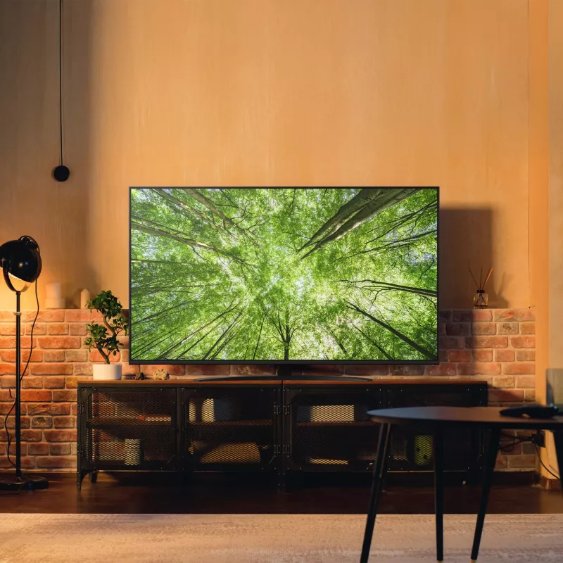 Televízor LG NanoCell 65NANO81A6A 65 inch 4K Ultra HD NanoCell, Direct-LED, webOS, HDR10, 60Hz