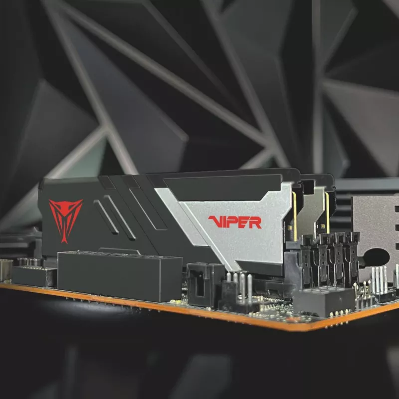 PATRIOT MEMORY pamäť – Viper Venom – 32 GB 2 x 16 GB DDR5 7000 MHz