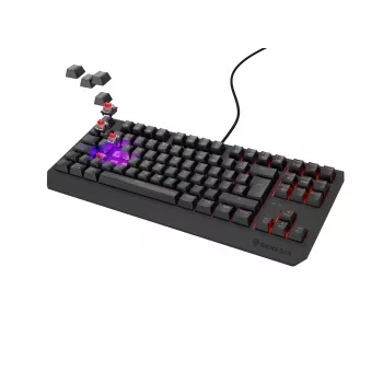 GENESIS Thor 230 TKL klávesnica herná USB QWERTY španielska čierna