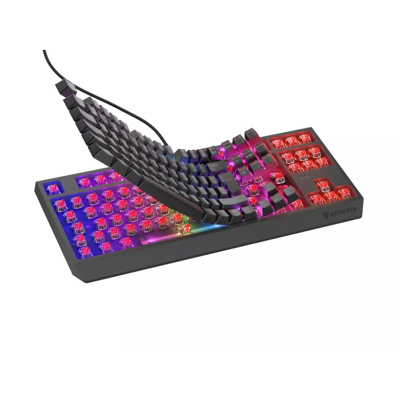 GENESIS Thor 230 TKL klávesnica herná USB QWERTY španielska čierna