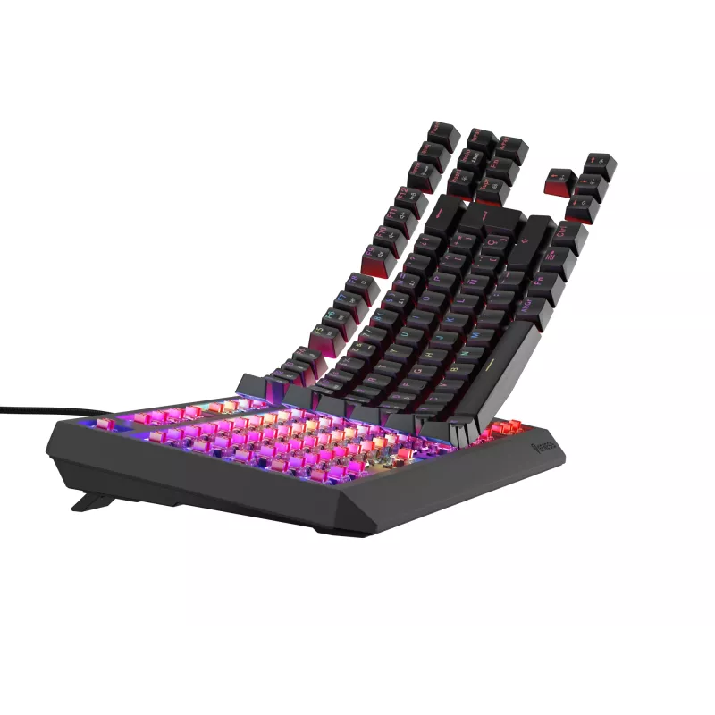 GENESIS Thor 230 TKL klávesnica herná USB QWERTY španielska čierna