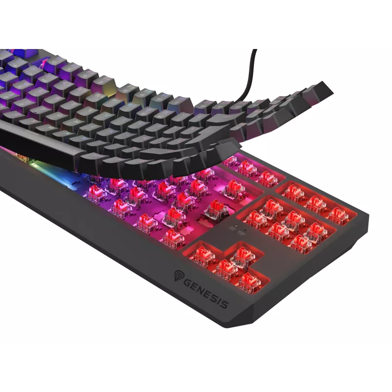 GENESIS Thor 230 TKL klávesnica herná USB QWERTY španielska čierna