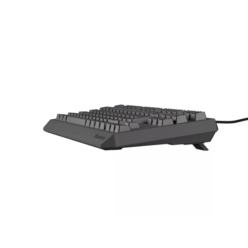 GENESIS Thor 230 TKL klávesnica herná USB QWERTY španielska čierna