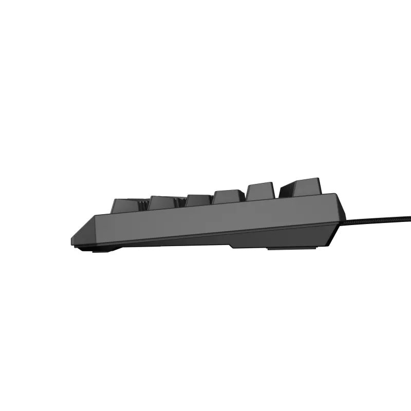 GENESIS Thor 230 TKL klávesnica herná USB QWERTY španielska čierna