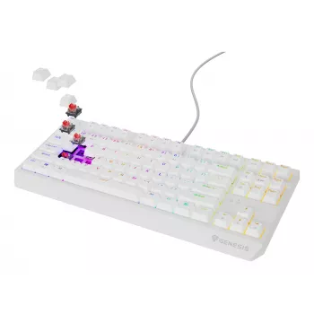 GENESIS Thor 230 TKL klávesnica herná USB QWERTY US-anglická biela