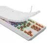 GENESIS Thor 230 TKL klávesnica herná USB QWERTY US-anglická biela