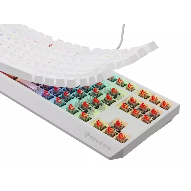 GENESIS Thor 230 TKL klávesnica herná USB QWERTY US-anglická biela