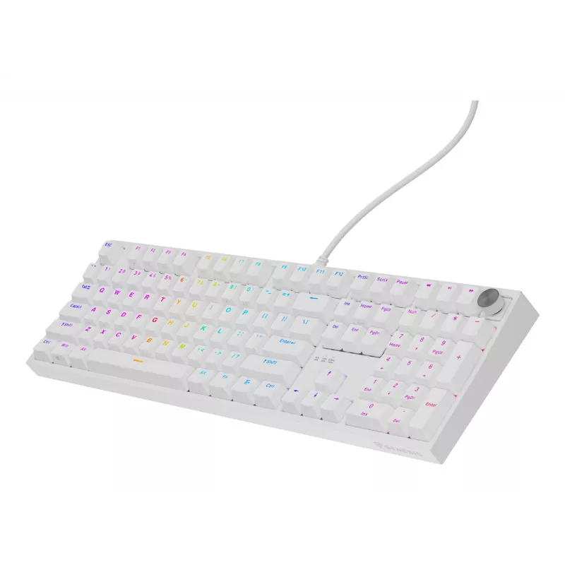 GENESIS NKG-2300 klávesnica univerzálna USB QWERTY anglická biela