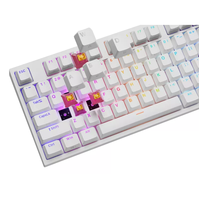 GENESIS NKG-2300 klávesnica univerzálna USB QWERTY anglická biela