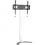 Techly ICA-TR47 tenký podlahový stojan na TV, 32 – 70 palcov, 40 kg, biely