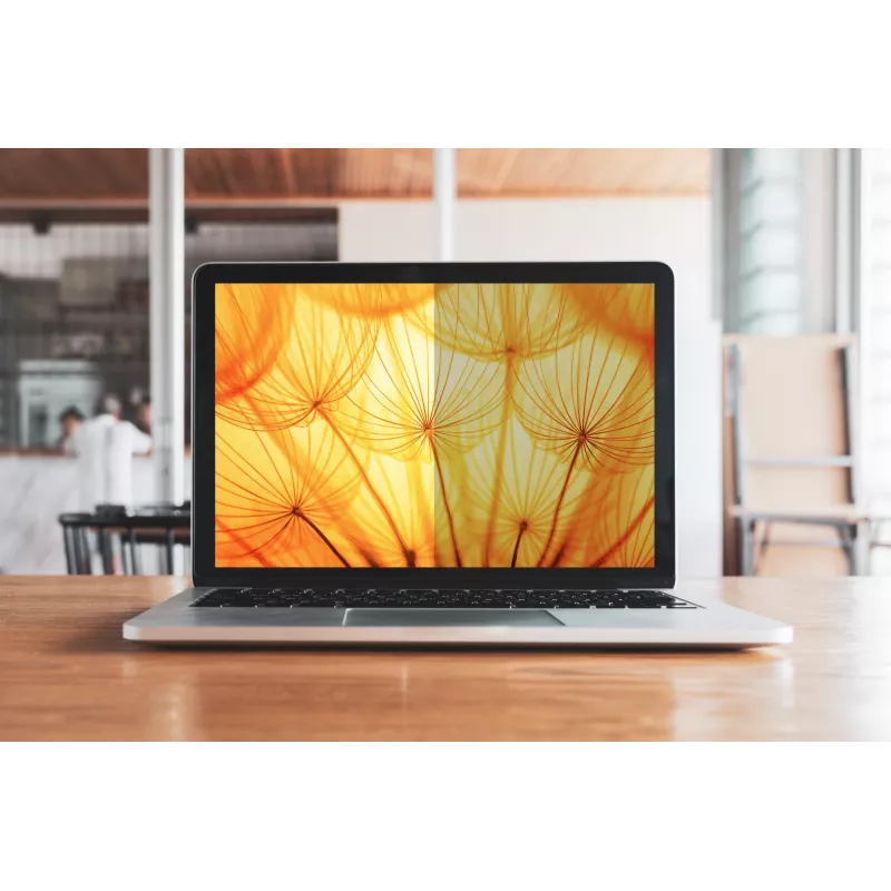 3M Bright Screen Privacy Filter pre Apple® MacBook Pro® 16 M1-M4, 16:10, BPNAP005