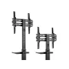 Multimediálny vozík Equip 32–55 inch univerzálny TV vozík