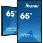 Digitálny signage plochý displej iiyama TF6539AS-B1AG 64,5