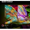 Hisense 43E77Q PRO 109,2 cm (43 palcov) 4K Ultra HD Smart TV Wi-Fi čierna