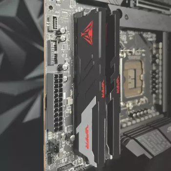DIMM 32 GB DDR5-6200 (2x 16 GB) Dual-Kit, pamäť čierna, PVV532G620C40K, Viper Venom, INTEL XMP