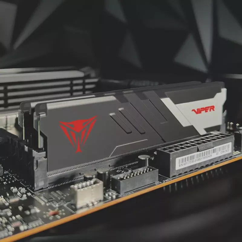 DIMM 32 GB DDR5-6200 (2x 16 GB) Dual-Kit, pamäť čierna, PVV532G620C40K, Viper Venom, INTEL XMP