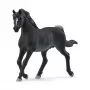 schleich HORSE CLUB arabský žrebec, 5 rok(y), kone, čierna, sivá, biela, plast
