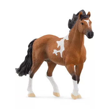 schleich HORSE CLUB Mangalarga Marchador žrebec, 5 rokov, kone, čierna, hnedá, biela, plast