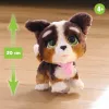 FurReal Walkalots Bernedoodle šteniatko, chlapec/dievča, 4 roky, so zvukmi