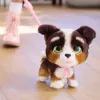 FurReal Walkalots Bernedoodle šteniatko, chlapec/dievča, 4 roky, so zvukmi