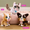 FurReal Poop-a-lots Corgi, chlapec/dievča, 4 rok(y), so zvukom