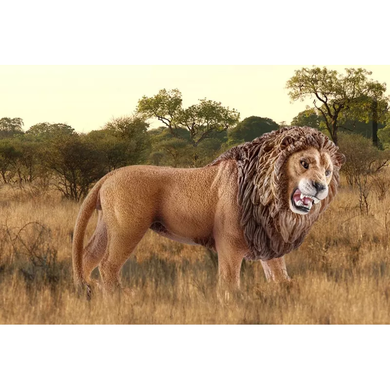 Schleich WILD LIFE revúci lev viacfarebný plast od 3 rokov