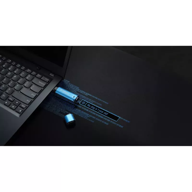 USB flash disk Kingston 256GB USB Type-A IronKey Vault Privacy 50