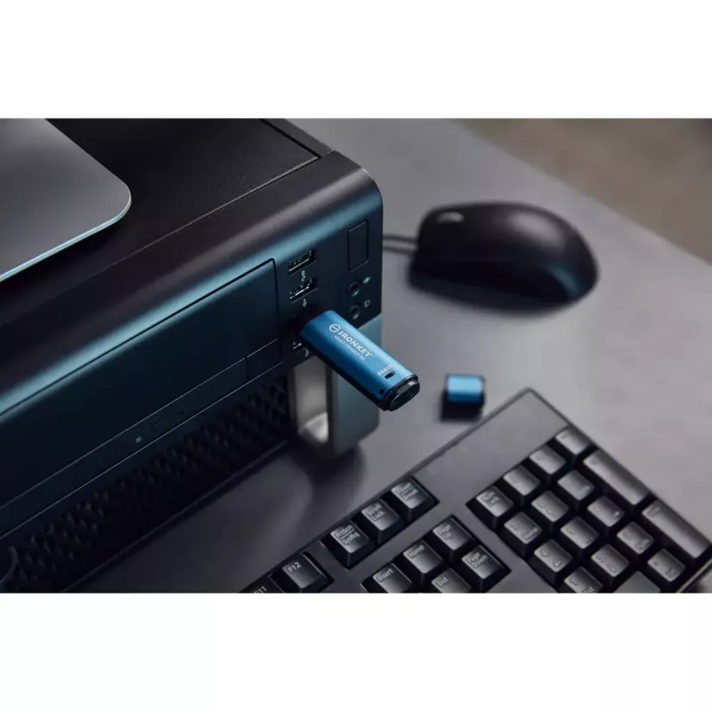 USB flash disk Kingston 256GB USB Type-A IronKey Vault Privacy 50