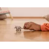 Schleich WILD LIFE hrabáč sivý 14863S hračka, odporúčané od 3 rokov