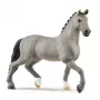 schleich HORSE CLUB Selle Français žrebec, 5 rokov, kone, sivá, plast