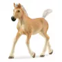 schleich HORSE CLUB Haflinger žriebä, 5 rokov, kone, béžová, hnedá, plast