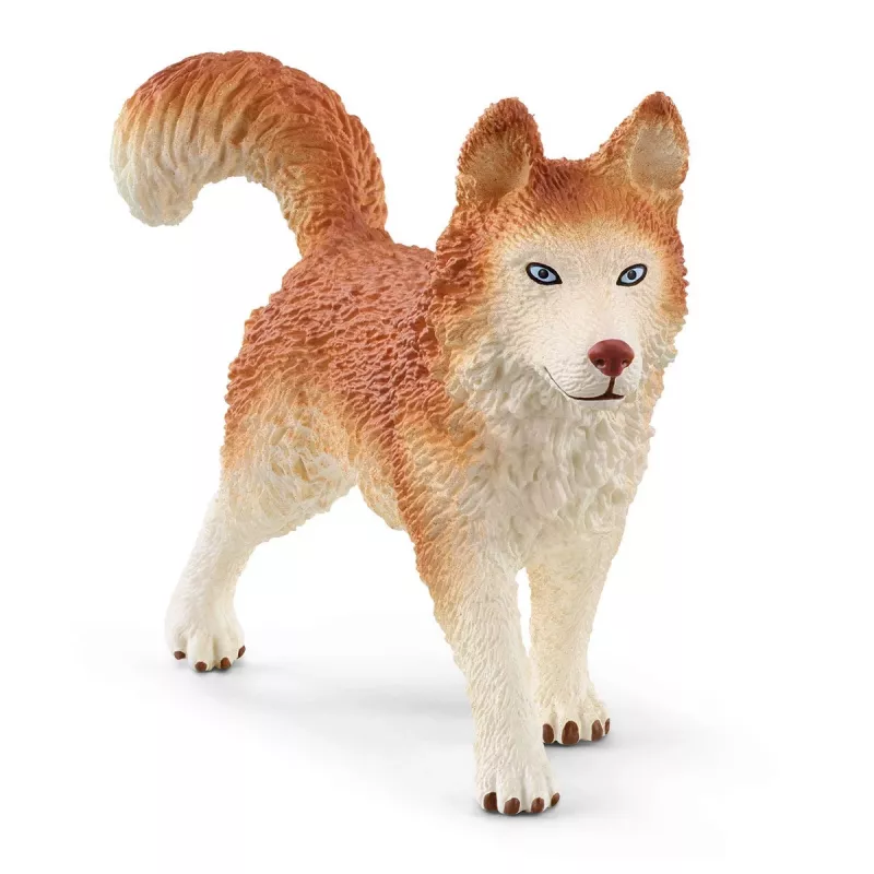 Zoo Schleich WILD LIFE Antarktická expedícia viacfarebná 42558