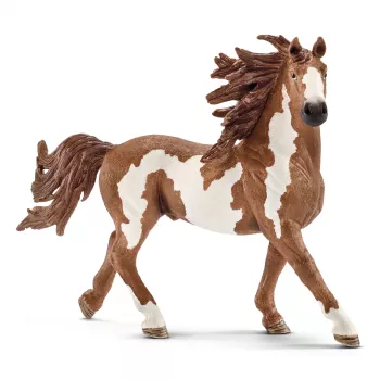 schleich FARM WORLD žrebec Pinto, 3 roky, hospodárske zvieratá / hračky z farmy, kone, viacfarebná, plast, 1 kus