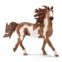 schleich FARM WORLD žrebec Pinto, 3 roky, hospodárske zvieratá / hračky z farmy, kone, viacfarebná, plast, 1 kus