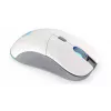 ENDORFY GEM Plus Wireless Onyx White RF bezdrôtová + USB Type-C