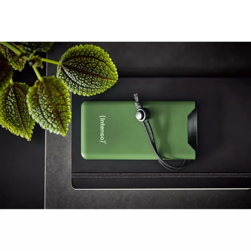Prenosná powerbank Intenso 7332037 10000 mAh