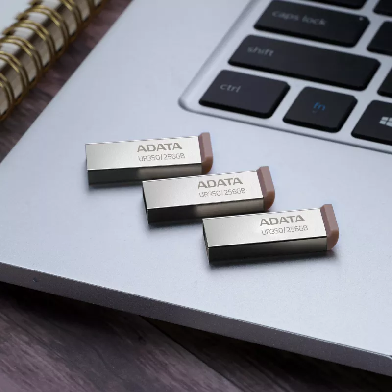 ADATA UR350 USB kľúč 256 GB USB Type-A 3.2 Gen 1 (3.1 Gen 1) čierny, strieborný