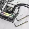 DIMM 64 GB DDR5-6000 (2x 32 GB) Dual-Kit, operačná pamäť biela, AX5U6000C3032G-DCLARWH, Lancer RGB, INTEL XMP